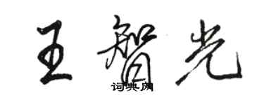 骆恒光王智光行书个性签名怎么写