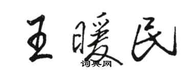骆恒光王暖民行书个性签名怎么写