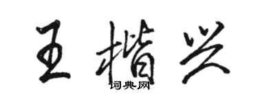 骆恒光王楷兴行书个性签名怎么写