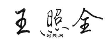骆恒光王照全行书个性签名怎么写