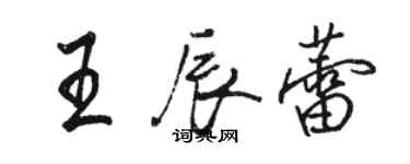 骆恒光王辰蕾行书个性签名怎么写