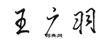 骆恒光王广羽行书个性签名怎么写