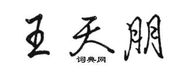 骆恒光王天朋行书个性签名怎么写