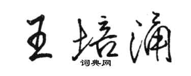 骆恒光王培涌行书个性签名怎么写