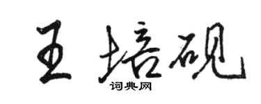 骆恒光王培砚行书个性签名怎么写