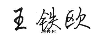 骆恒光王铁欧行书个性签名怎么写