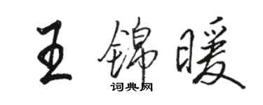 骆恒光王锦暖行书个性签名怎么写