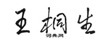 骆恒光王桐生行书个性签名怎么写