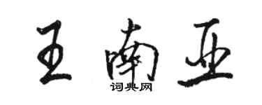 骆恒光王南亚行书个性签名怎么写