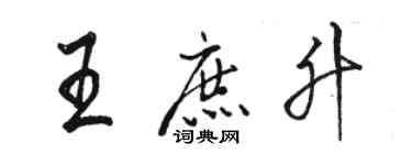骆恒光王庶升行书个性签名怎么写