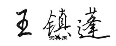 骆恒光王镇蓬行书个性签名怎么写