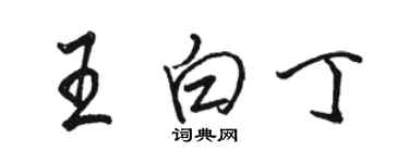 骆恒光王白丁行书个性签名怎么写