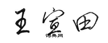 骆恒光王宣田行书个性签名怎么写