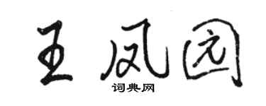 骆恒光王凤园行书个性签名怎么写
