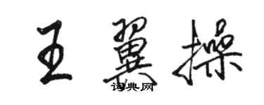 骆恒光王翼操行书个性签名怎么写