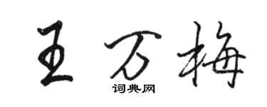 骆恒光王万梅行书个性签名怎么写