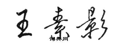 骆恒光王素影行书个性签名怎么写