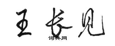 骆恒光王长见行书个性签名怎么写