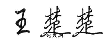 骆恒光王楚楚行书个性签名怎么写