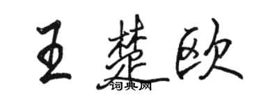 骆恒光王楚欧行书个性签名怎么写