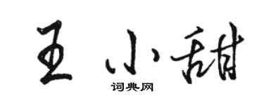 骆恒光王小甜行书个性签名怎么写