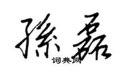 王正良孙磊行书个性签名怎么写