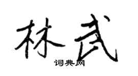 王正良林武行书个性签名怎么写