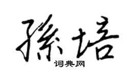 王正良孙培行书个性签名怎么写