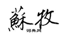 王正良苏牧行书个性签名怎么写