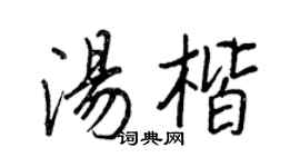 王正良汤楷行书个性签名怎么写