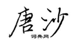 王正良唐沙行书个性签名怎么写