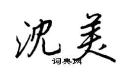 王正良沈美行书个性签名怎么写