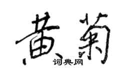 王正良黄菊行书个性签名怎么写