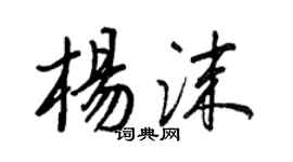王正良杨沫行书个性签名怎么写