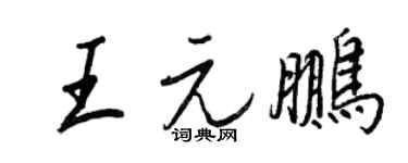 王正良王元鹏行书个性签名怎么写