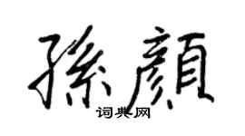 王正良孙颜行书个性签名怎么写