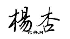 王正良杨杏行书个性签名怎么写