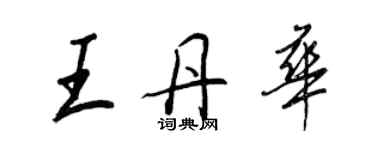 王正良王丹华行书个性签名怎么写