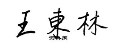 王正良王东林行书个性签名怎么写
