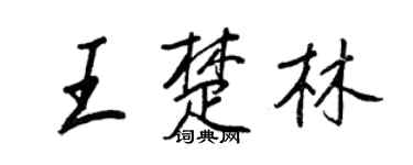 王正良王楚林行书个性签名怎么写