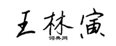 王正良王林寅行书个性签名怎么写