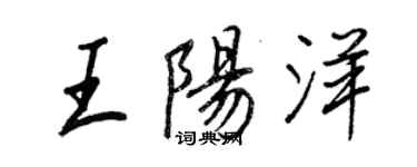 王正良王阳洋行书个性签名怎么写