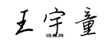 王正良王宇童行书个性签名怎么写