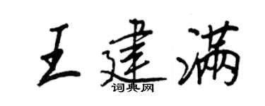 王正良王建满行书个性签名怎么写