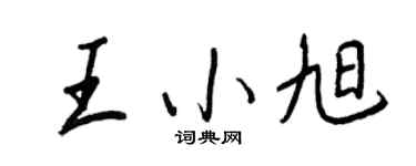 王正良王小旭行书个性签名怎么写