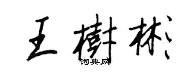 王正良王树彬行书个性签名怎么写