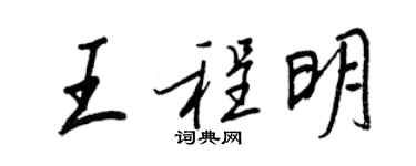 王正良王程明行书个性签名怎么写