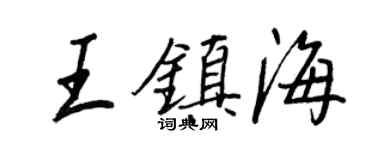 王正良王镇海行书个性签名怎么写