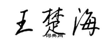 王正良王楚海行书个性签名怎么写