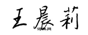王正良王晨莉行书个性签名怎么写